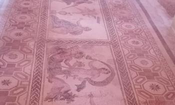 Mosaici della Casa di Dioniso a Paphos