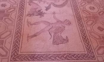Mosaici della Casa di Dioniso a Paphos