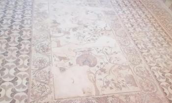 Mosaici della Casa di Dioniso a Paphos