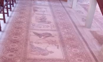 Mosaici della Casa di Dioniso a Paphos